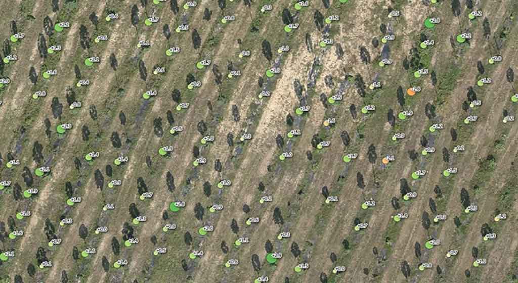 Land cover analysis